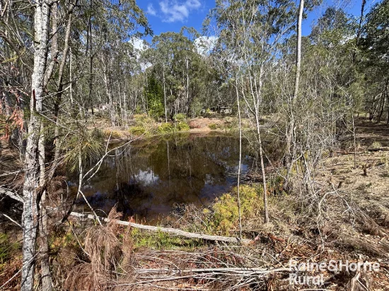 31 Mcnicholl, Wattle Camp, Qld 4615