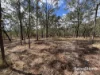 31 Mcnicholl, Wattle Camp, Qld 4615-Image