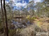 31 Mcnicholl, Wattle Camp, Qld 4615-Image