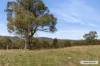 310 Dockerys Road, Tallarook, Vic 3659-Image