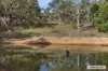 310 Dockerys Road, Tallarook, Vic 3659-Image