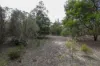 311 Williams Drive, Lower Boro, NSW 2580-Image