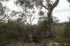 311 Williams Drive, Lower Boro, NSW 2580-Image
