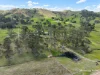 312 Bulby Brush Road, Bunyah, NSW 2429-Image