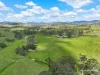 312 Bulby Brush Road, Bunyah, NSW 2429-Image