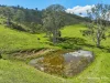 312 Bulby Brush Road, Bunyah, NSW 2429-Image