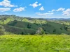312 Bulby Brush Road, Bunyah, NSW 2429-Image