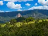 312 Gungas Road, Nimbin, NSW 2480