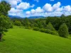 312 Gungas Road, Nimbin, NSW 2480-Image