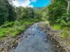 312 Gungas Road, Nimbin, NSW 2480-Image