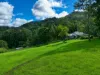 312 Gungas Road, Nimbin, NSW 2480-Image