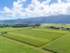 314 Anderson Road, Aloomba, Qld 4871-Image