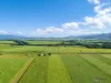 314 Anderson Road, Aloomba, Qld 4871-Image