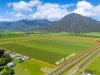 314 Anderson Road, Aloomba, Qld 4871-Image
