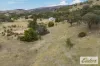 314 Joseph Lane, Amphitheatre, Vic 3468-Image