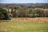 315 Bugle Range Road, Macclesfield, SA 5153-Image