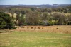 315 Bugle Range Road, Macclesfield, SA 5153-Image