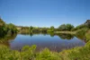 315 Bugle Range Road, Macclesfield, SA 5153-Image