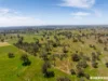 315 Keynes Hill Road, Keyneton, SA 5353-Image