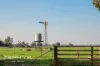 315 Penn Street, Boyanup, WA 6237-Image