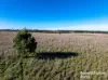 3150 Range Road, Bannister, NSW 2580-Image