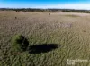 3150 Range Road, Bannister, NSW 2580-Image