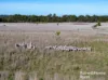 3150 Range Road, Bannister, NSW 2580-Image