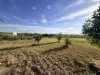31614 Bruce Highway, Booyal, Qld 4671-Image