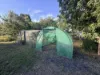 31614 Bruce Highway, Booyal, Qld 4671-Image