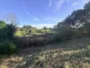 31614 Bruce Highway, Booyal, Qld 4671-Image
