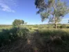 31614 Bruce Highway, Booyal, Qld 4671-Image