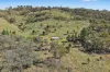 318 Beragoo Road, Mudgee, NSW 2850