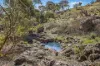318 Beragoo Road, Mudgee, NSW 2850-Image