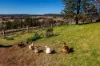 318 Kains Flat Road, Mudgee, NSW 2850-Image