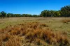 320 Cemetery Road, Torrington, NSW 2371