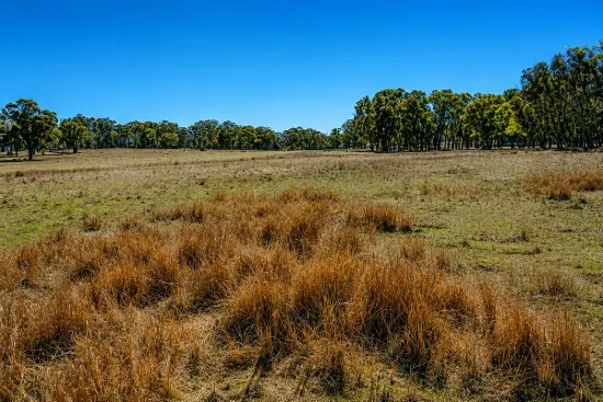 320 Cemetery Road, Torrington, NSW 2371