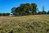 320 Cemetery Road, Torrington, NSW 2371-Image