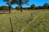 320 Cemetery Road, Torrington, NSW 2371-Image