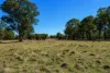 320 Cemetery Road, Torrington, NSW 2371-Image
