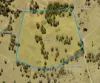 320 Cemetery Road, Torrington, NSW 2371-Image
