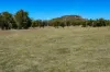 320 Cemetery Road, Torrington, NSW 2371-Image