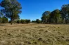 320 Cemetery Road, Torrington, NSW 2371-Image