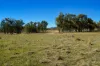 320 Cemetery Road, Torrington, NSW 2371-Image