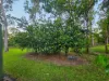 320 Launceston Road, Dundee Beach, NT 0840-Image