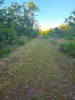 320 Launceston Road, Dundee Beach, NT 0840-Image