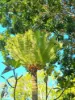 320 Launceston Road, Dundee Beach, NT 0840-Image