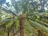320 Launceston Road, Dundee Beach, NT 0840-Image