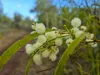 320 Launceston Road, Dundee Beach, NT 0840-Image
