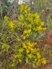 320 Launceston Road, Dundee Beach, NT 0840-Image