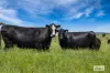 321 Buckleys Lane, Springfield, Vic 3434-Image